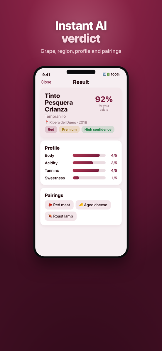 Vinia AI verdict showing grape, region and food pairings